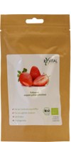 Provital RyVital Bio-Erdbeere gefriergetrocknet 12g 1 Package Anifit